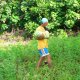 8- Roger, dans son champ de pasteques 